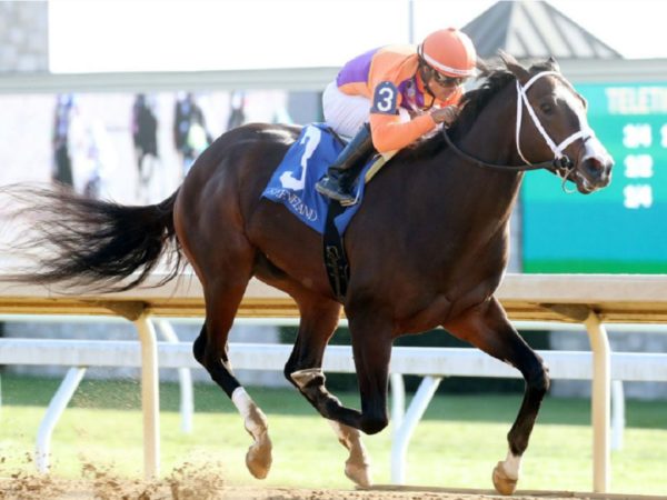 Victory Formation cruises in his Oct. 21, 2022 debut at Keeneland - Coady photography