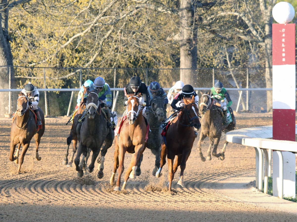 Cyberknife dominates the 2022 Arkansas Derby-G1 | Coady photo