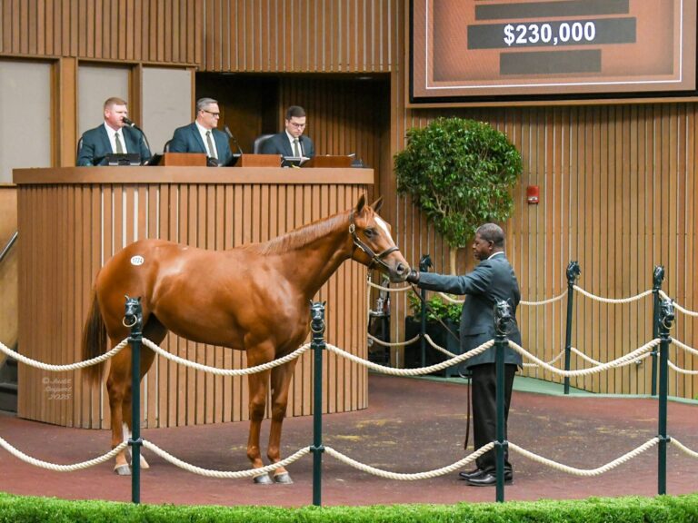 $230,000 at '25 KEESEP | Filly o/o Tasha's Moon | Purchased by Michael McMillan | Judit Seipert photo