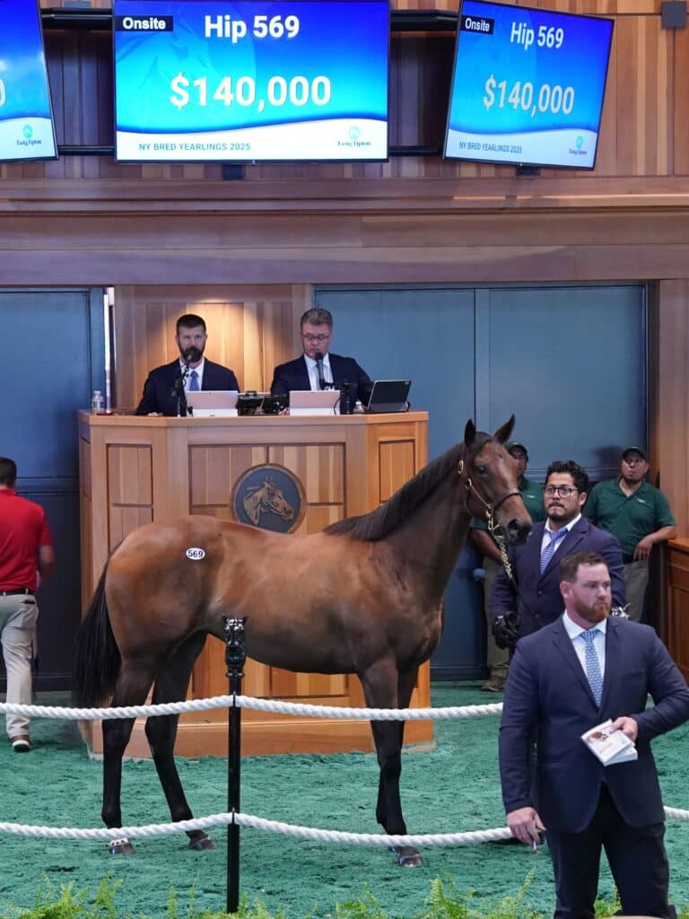 $140,000 at '25 F-T NY Breds | Filly o/o Ignite | Purchased by Oracle Bloodstock, Agent | Z photo