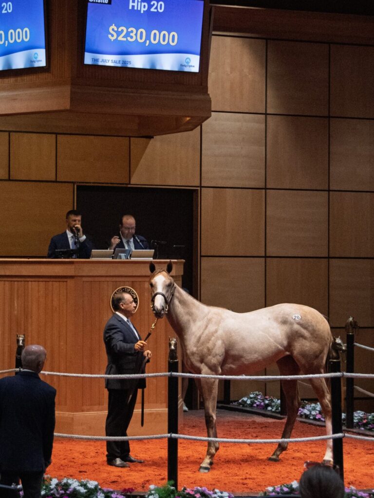 $230,000 at '25 F-T July | Filly o/o Sweet Assassin | Purchased by Ben Gowans, Agent | Kendall Wucker photo