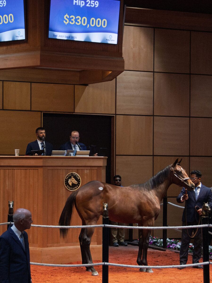 $330,000 at '25 F-T July | Colt o/o My Lady Munnings | Purchased by Mahmud Mouni | Kendall Wucker photo