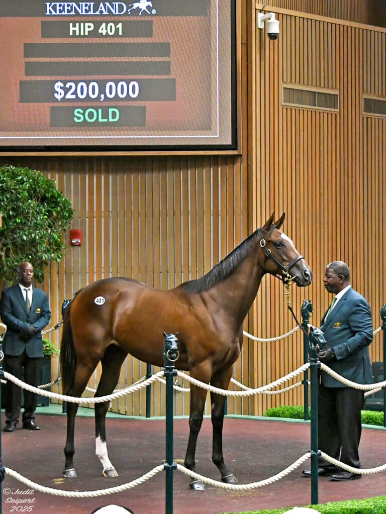 $200,000 at '25 KEESEP | Filly o/o Limari | Purchased by Repole Stable | Judit Seipert photo