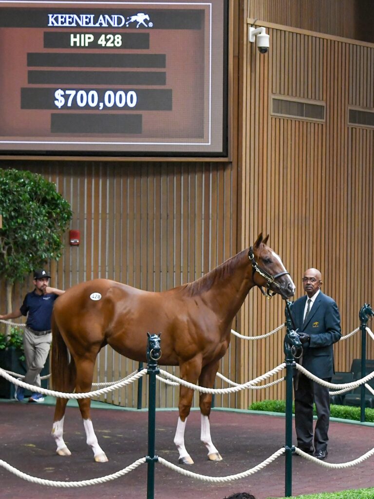$700,000 at '25 KEESEP | Filly o/o Miss Inclined | Purchased by MWG | Judit Seipert photo