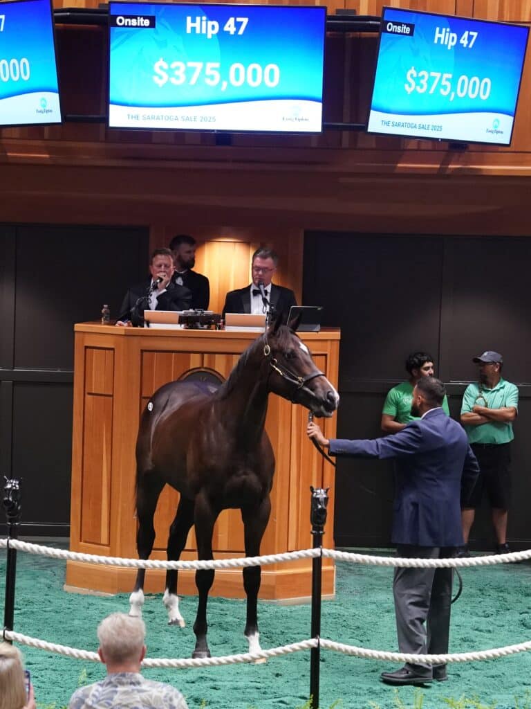$360,000 at '25 F-T Saratoga | Colt o/o Becca's Rocket | Purchased by B-4 Farms | Z photo