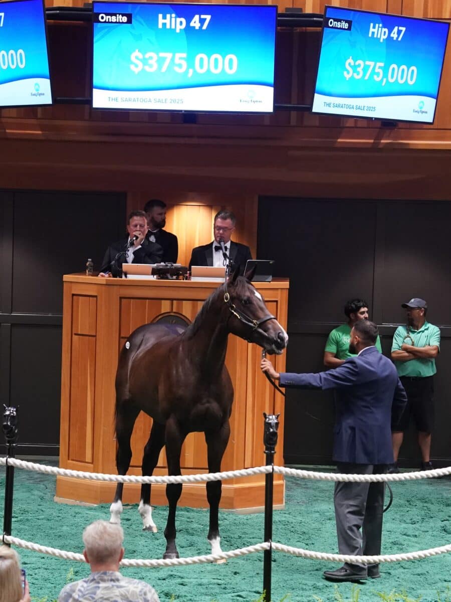 $360,000 at '25 F-T Saratoga | Colt o/o Becca's Rocket | Purchased by B-4 Farms | Z photo
