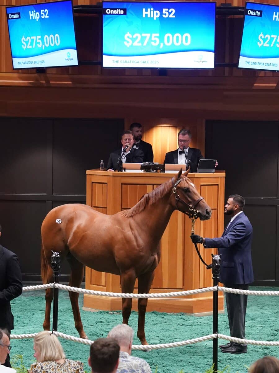 $275,000 at '25 F-T Saratoga | Filly o/o Boodles | Purchased by JR International | Z photo