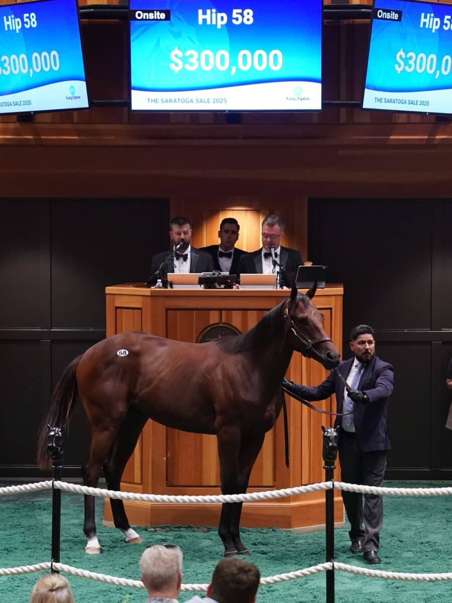 $300,000 at '25 F-T Saratoga | Colt o/o Caribbean Lady | Purchased by Gracie Bloodstock, Agent | Z photo