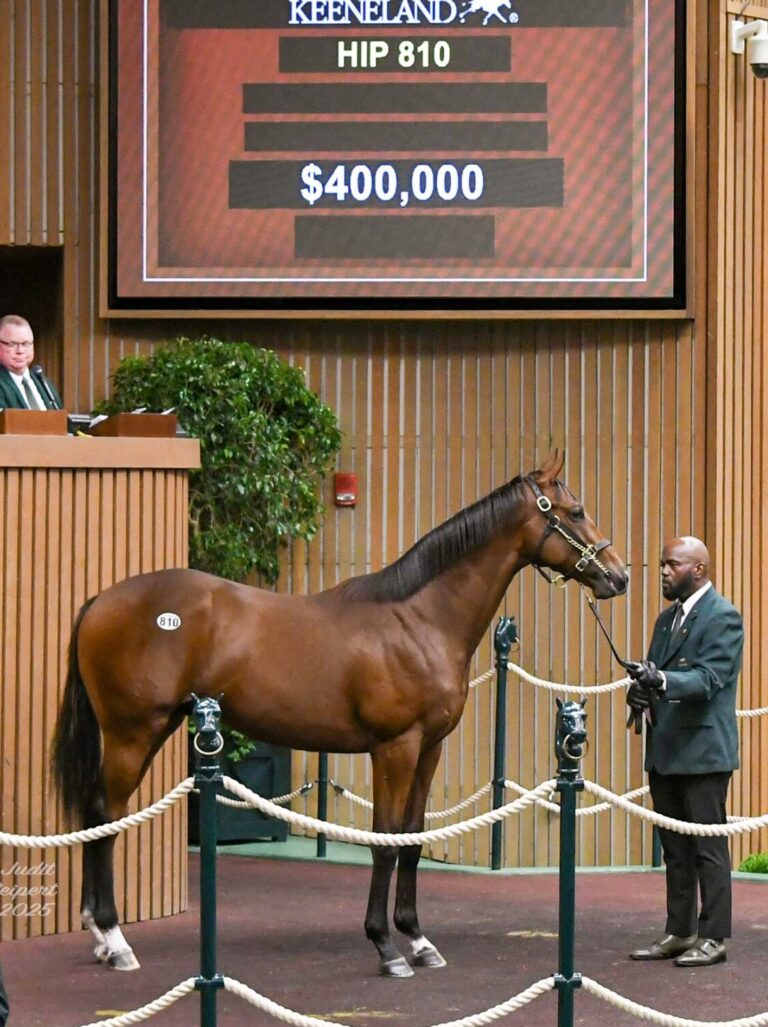 $400,000 at '25 KEESEP | Colt o/o Malibu Pier | Purchased by Trevor Smith | Judit Seipert photo