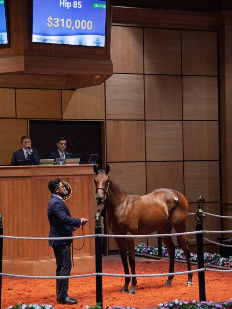 $310,000 at '25 F-T July | Filly o/o Mama Rina | Purchased by Ciannello Bloodstock | Kendall Wucker photo