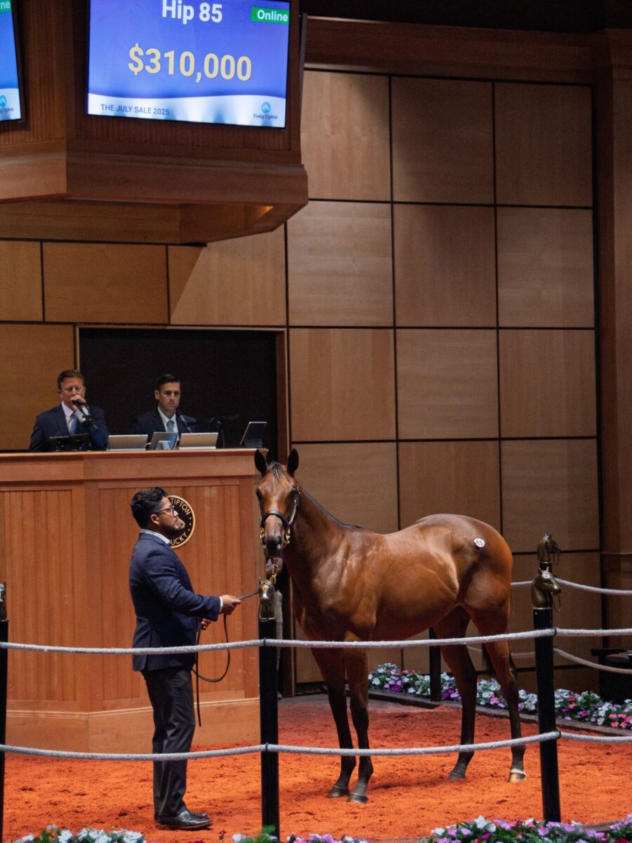 $310,000 at '25 F-T July | Filly o/o Mama Rina | Purchased by Ciannello Bloodstock | Kendall Wucker photo
