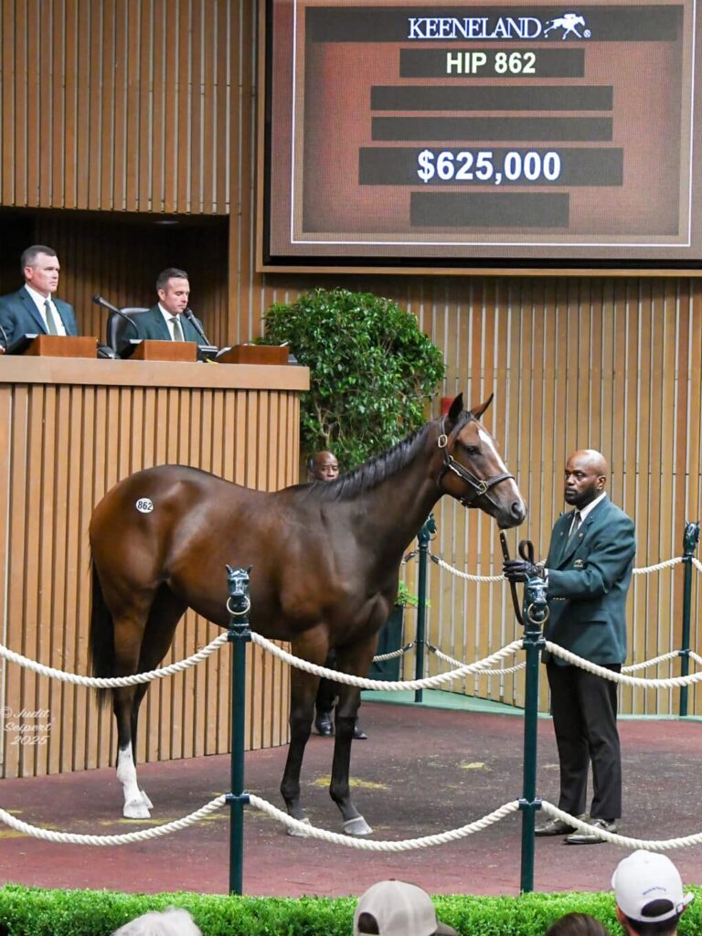 $625,000 at '25 KEESEP | Filly o/o Platinum Paynter | Purchased by Courtlandt Farm | Judit Seipert photo