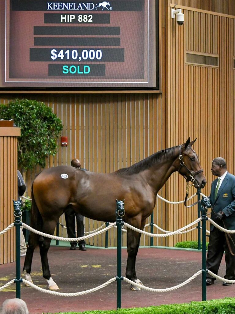 $410,000 at '25 KEESEP | Filly o/o Retro | Purchased by Belladonna Racing/Determined Stables | Judit Seipert photo