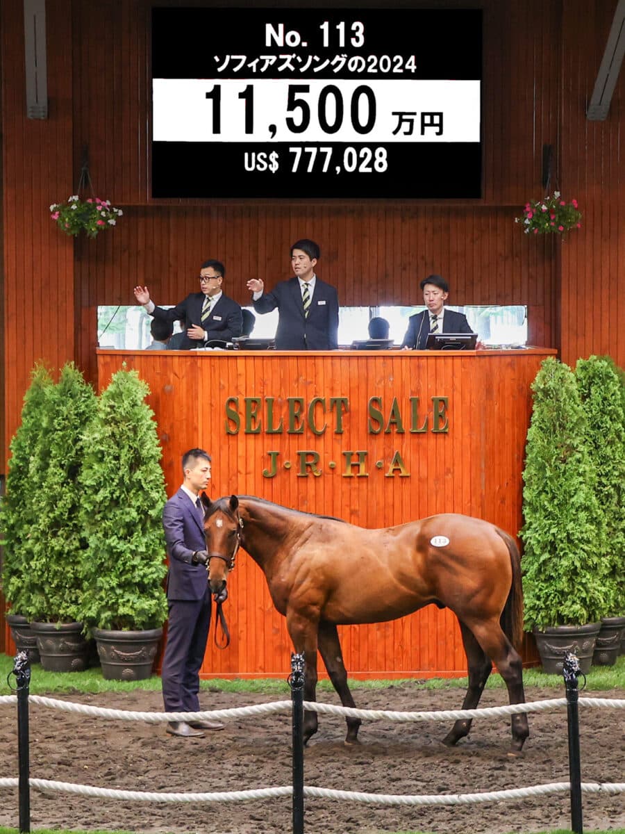 US$777,028 at '25 JRHA Select Sale | Colt o/o Sophia's Song | Purchased by Maeda Hiroyuki | Photo courtesy of JRHA