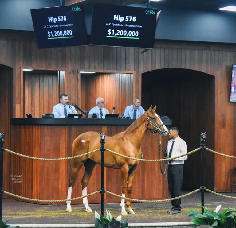 $1,200,000 at OBSAPR ' 26 | Colt o/o Broadway Show | Purchased By Westpoint, Lanes End, Mike Talla, John Sadler Agent | Photo by Judit Seipert