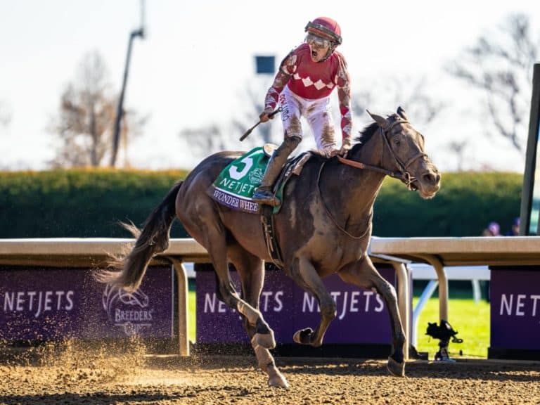 Champion Wonder Wheel | 2022 Breeders' Cup Juvenile Fillies-G1 | Nicole Finch photo