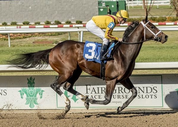 Corona Bolt earns a 97 Beyer in his 2-year-old finale. Next up: 2023 Kentucky Derby Trail | Hodges photo