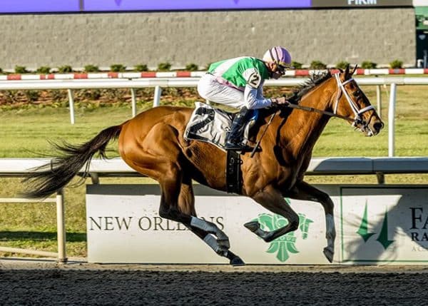 Undefeated Dazzling Blue will make her next start on the 2023 Kentucky Oaks Trail | Hodges photo