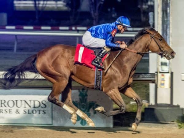 Pretty Mischievous vaults onto the 2023 Kentucky Oaks Trail with a dominant win in the Untapable S. | Hodges photo 