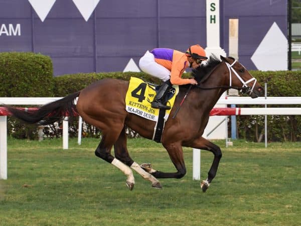 Major Dude coasts to victory in the 2023 Kitten's Joy S. (G3) - Coglianese photo