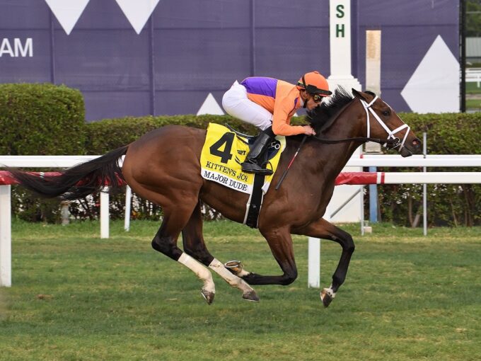 First-crop multiple GSW Major Dude wins the 2023 Kitten's Joy S. (G3) at Gulfstream | Coglianese photo