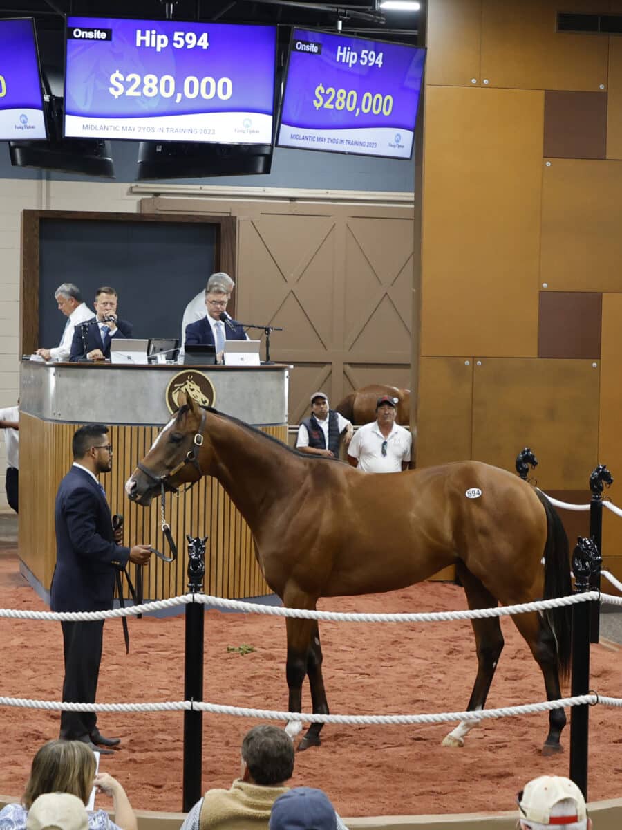 $280,000 | Colt o/o Perfect Bourbon | Purchased by Frank Alosa, agent | '23 F-T Midlantic | Z photo