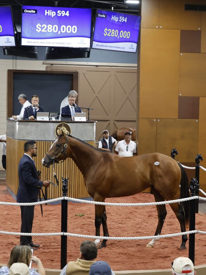 $280,000 | Colt o/o Perfect Bourbon | Purchased by Frank Alosa, agent | '23 F-T Midlantic | Z photo