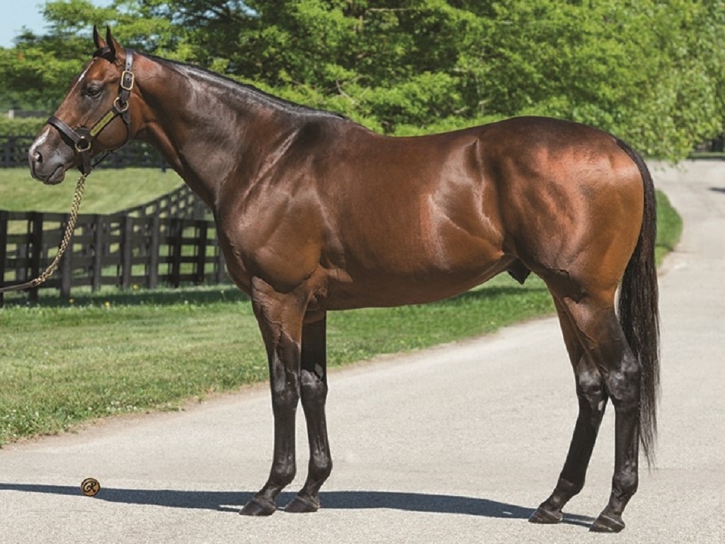 Neom Beach the 20th FirstCrop winner for Omaha Beach Spendthrift A