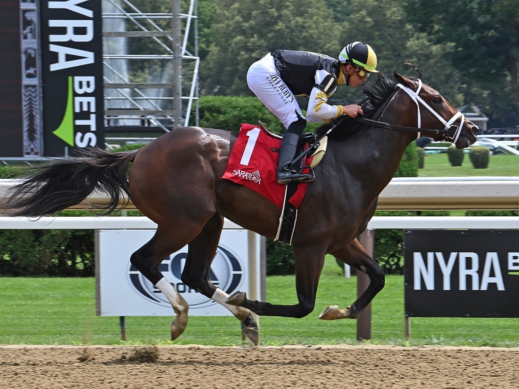 2yo colt Pirate becomes a TDN Rising Star on debut at Saratoga | NYRA photo