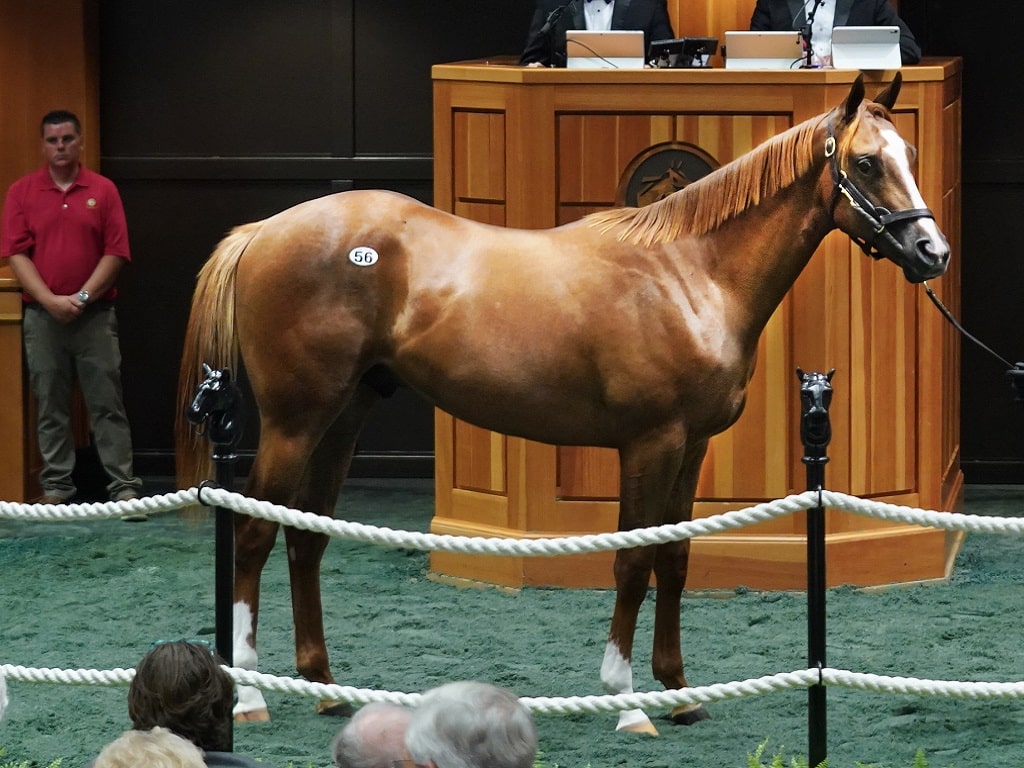 875,000 Authentic colt highlights Monday's FasigTipton Saratoga