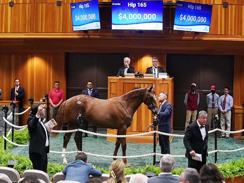 Beholder's $4 million sale-topping colt at the 2023 Fasig-Tipton Saratoga Yearlings sale - FT photo