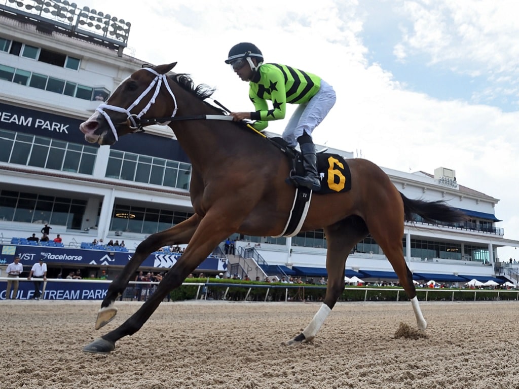 2yo filly Let Them Watch remains undefeated with a win in Gulfstream's Sharp Susan Stakes | Coglianese photo