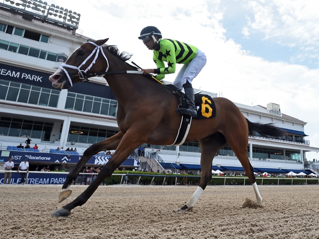 2yo filly Let Them Watch remains undefeated with a win in the 2023 Sharp Susan S. at Gulfstream | Coglianese photo