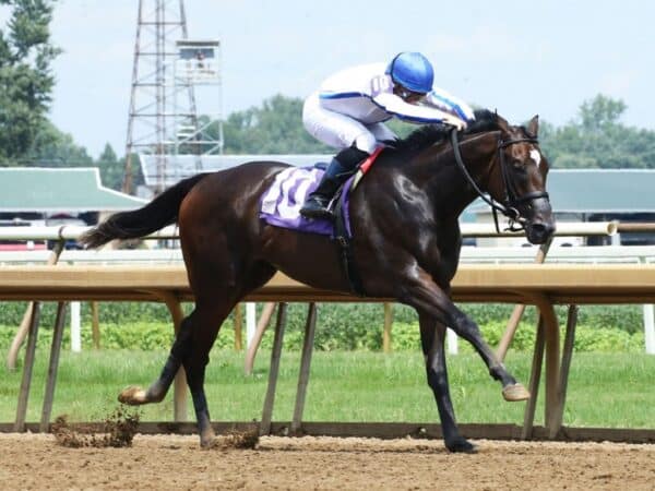Hot Beach reaches for the wire in the 2023 Ellis Park Debutante - Coady photo