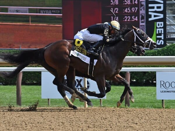 The Wine Steward bests an obscured El Grande O in the 2023 Funny Cide S. at Saratoga - Susie Raisher/NYRA