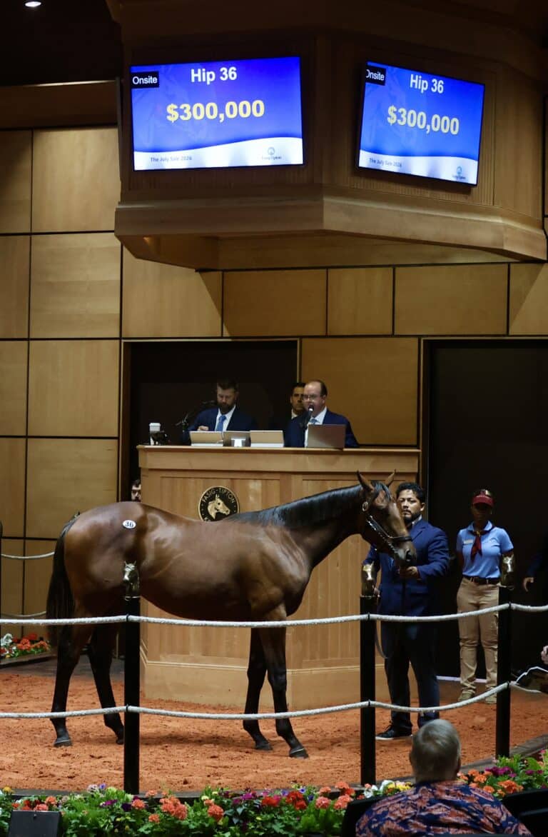 Colt by Taiba o/o Dayfa sells at the F-T July Sale for $300,000 | PhotosbyZ