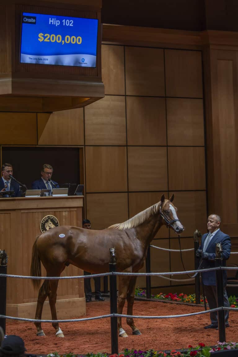 A $200,000 colt Taiba o/o Like A Queen sells for $200,000 at F-T July | Kendall Wucker