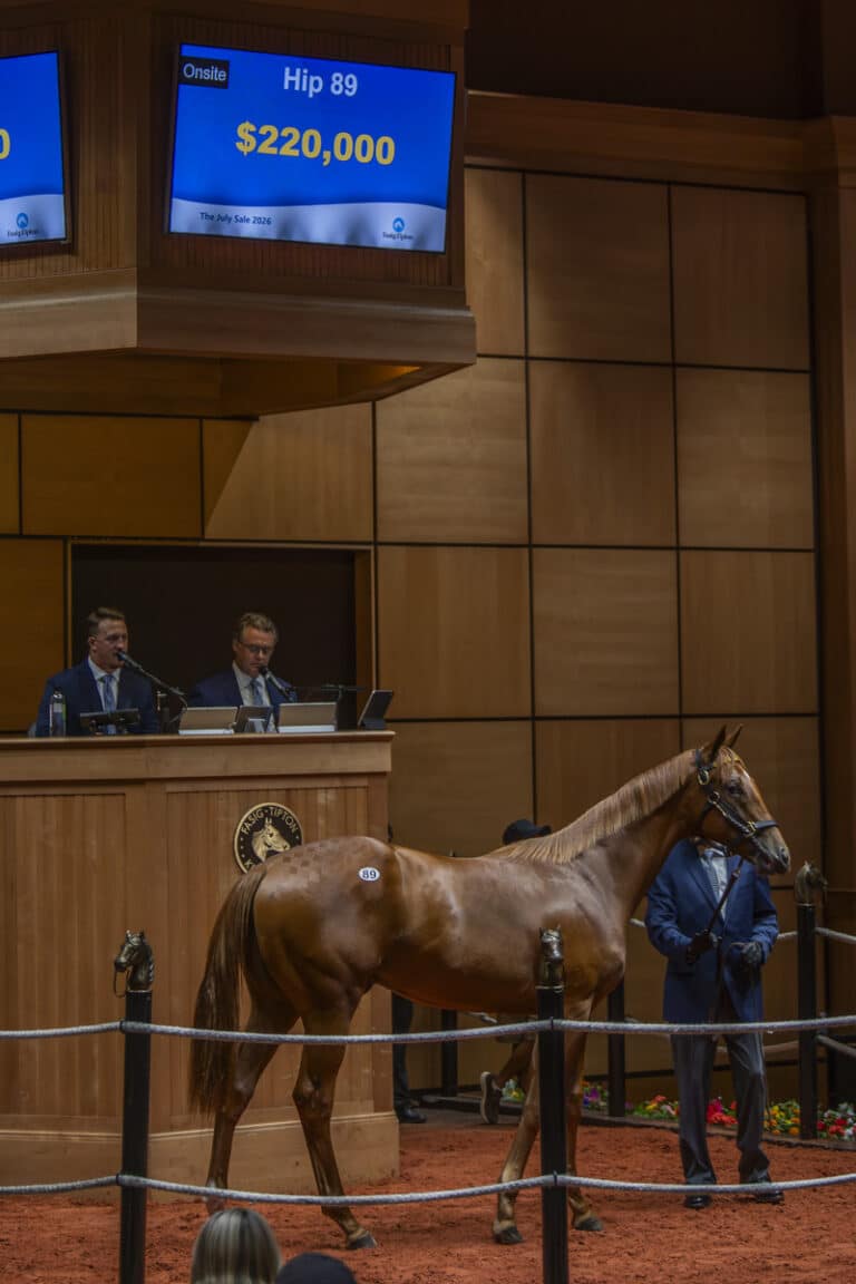 Colt o/o Joint Return hammers down for $220,000 at F-T July | Kendall Wucker