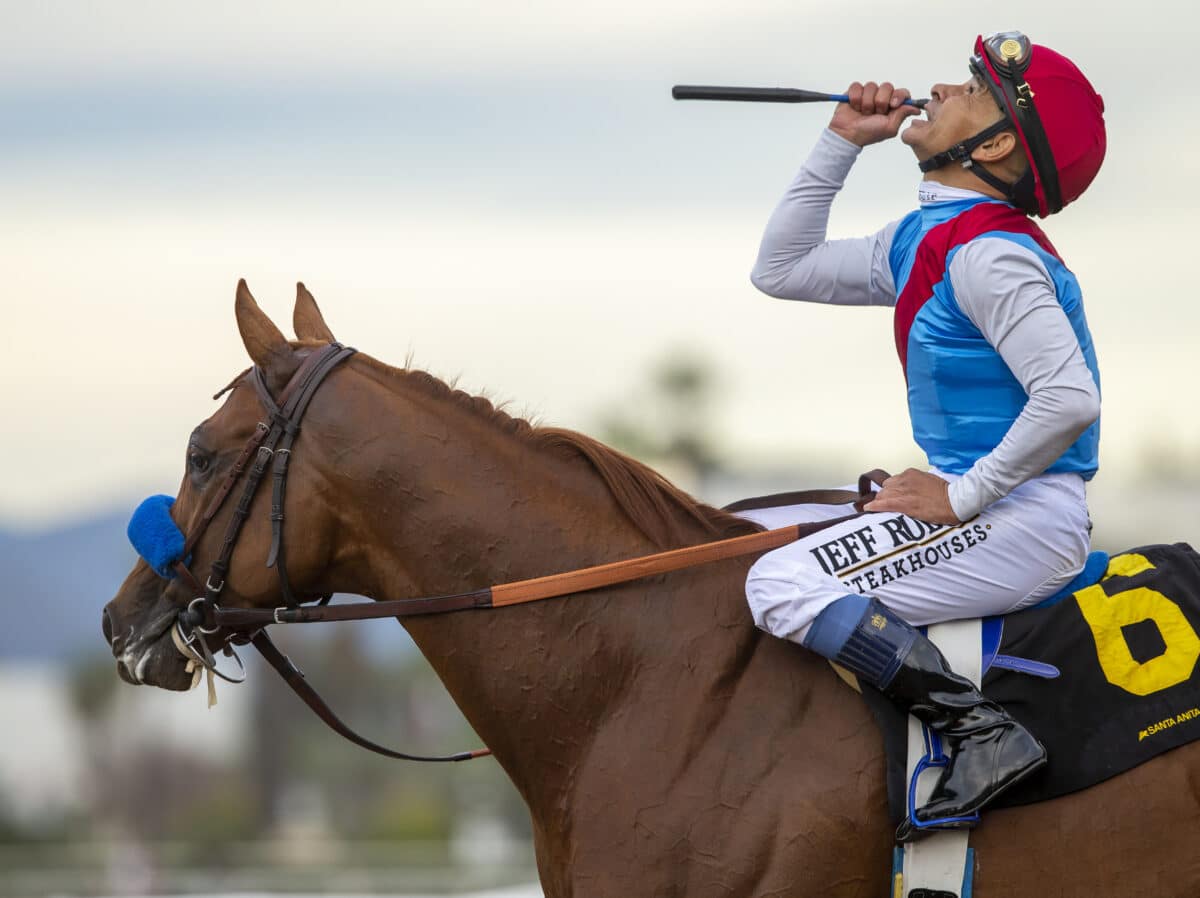 Taiba | 2022 Santa Anita Derby-G1 | Benoit photo