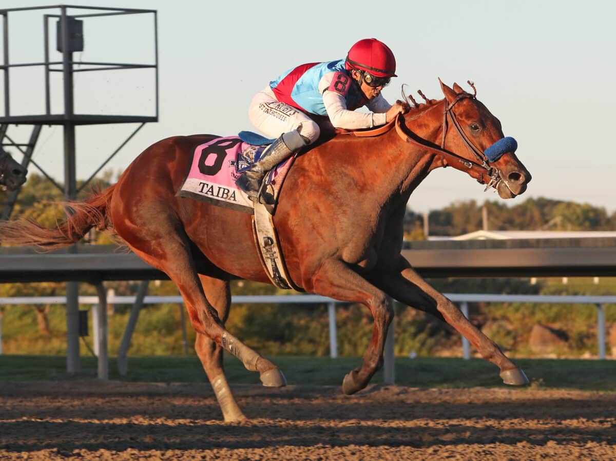 Taiba | 2022 Pennsylvania Derby-G1 | Equi-Photo/Bill Denver