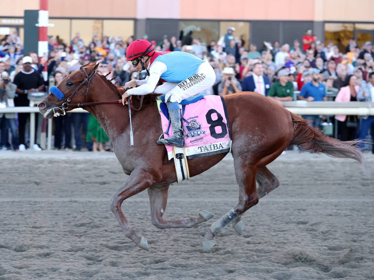 Taiba | 2022 Pennsylvania Derby-G1 | Equi-Photo/Bill Denver