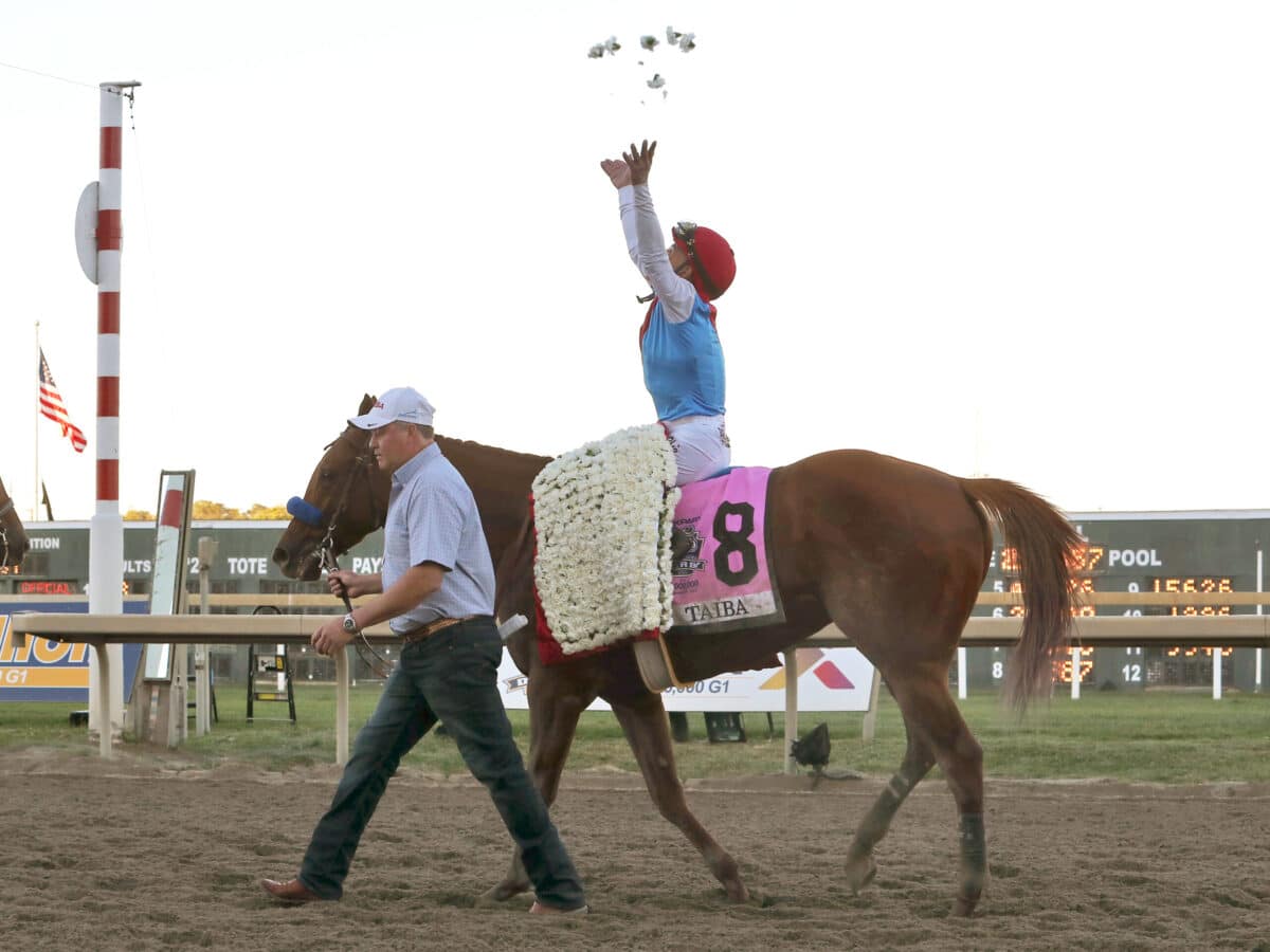 Taiba | 2022 Pennsylvania Derby-G1 | Equi-Photo/Bill Denver