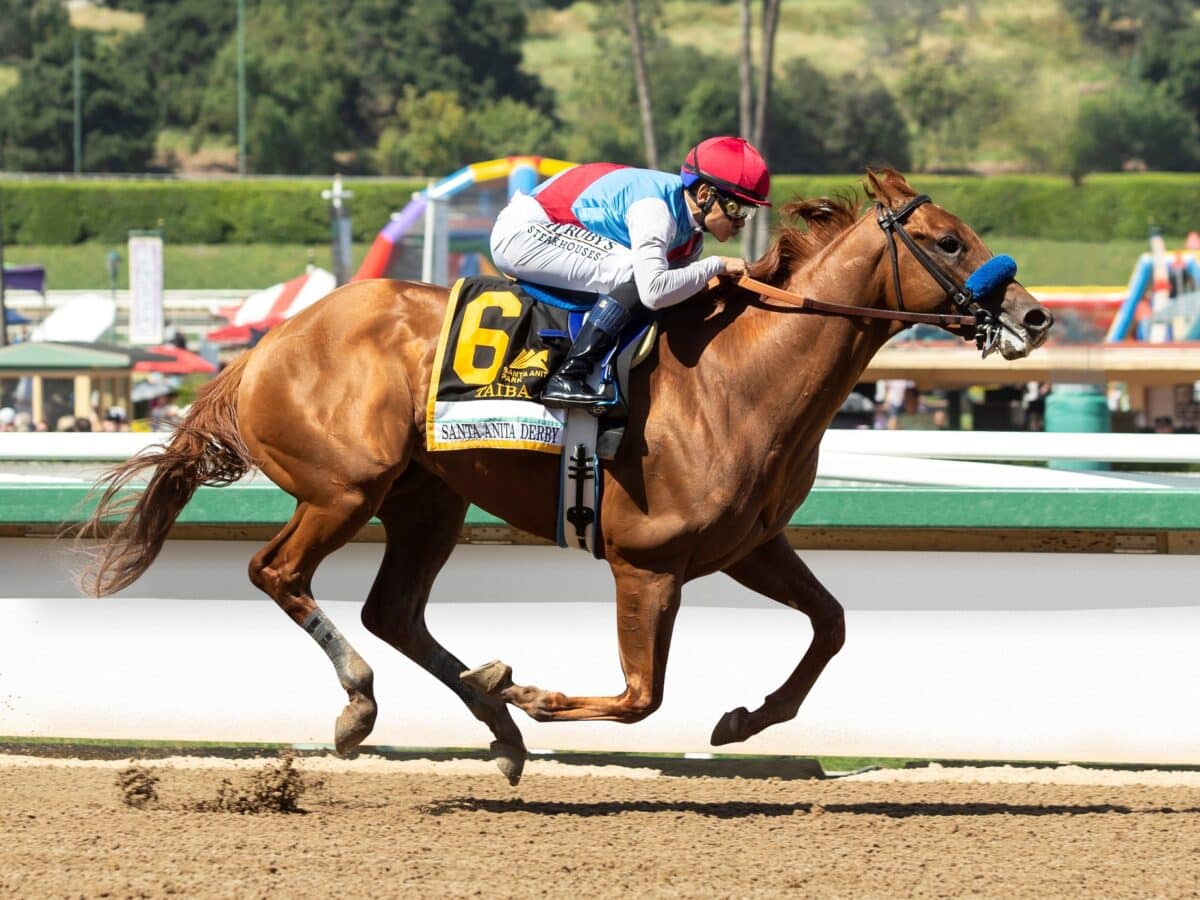 Taiba | 2022 Santa Anita Derby-G1 | Benoit photo