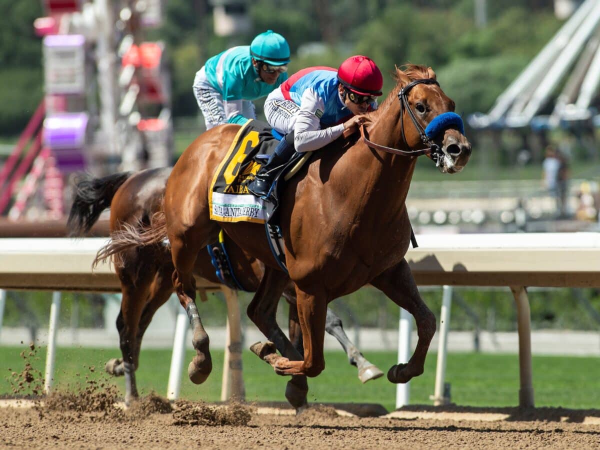 Taiba | 2022 Santa Anita Derby-G1 | Benoit photo