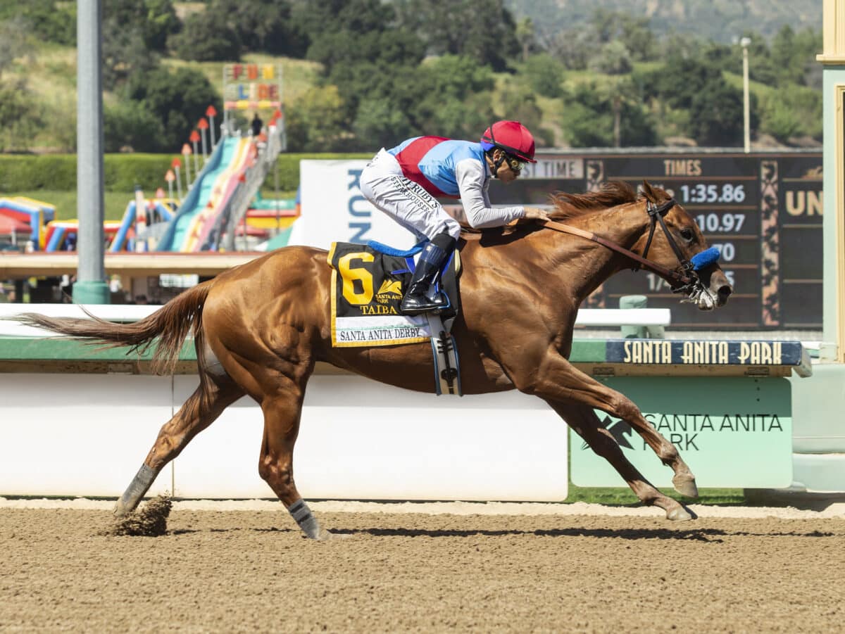 Taiba | 2022 Santa Anita Derby-G1 | Benoit photo