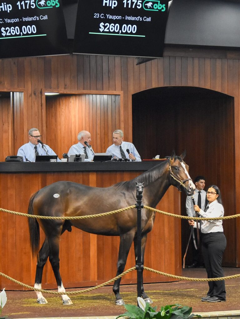 $260,000 at '25 OBSAPR | Colt o/o Ireland's Call | Purchased by Carol Castille | Judit Seipert photo