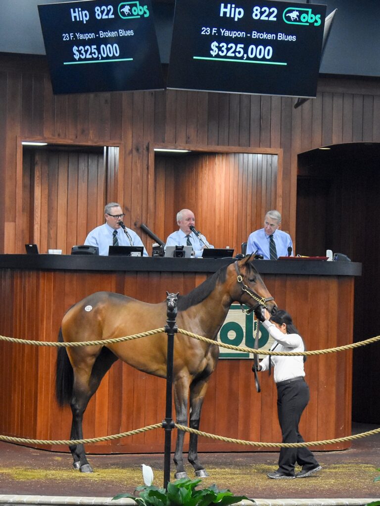 $325,000 at '25 OBSAPR | Filly o/o Broken Blues | Purchased by Three Amigos | Judit Seipert photo