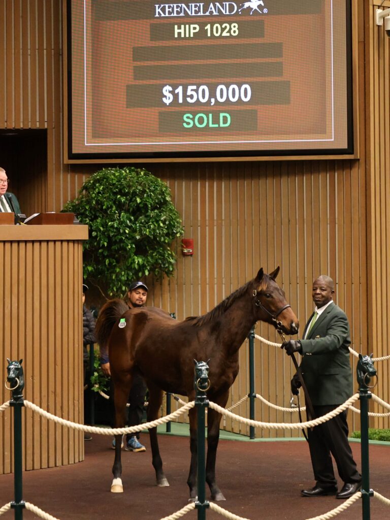 $150,000 weanling at KEENOV | Filly o/o The Girl Factor | Purchased by Pinhook Partners | Z photo