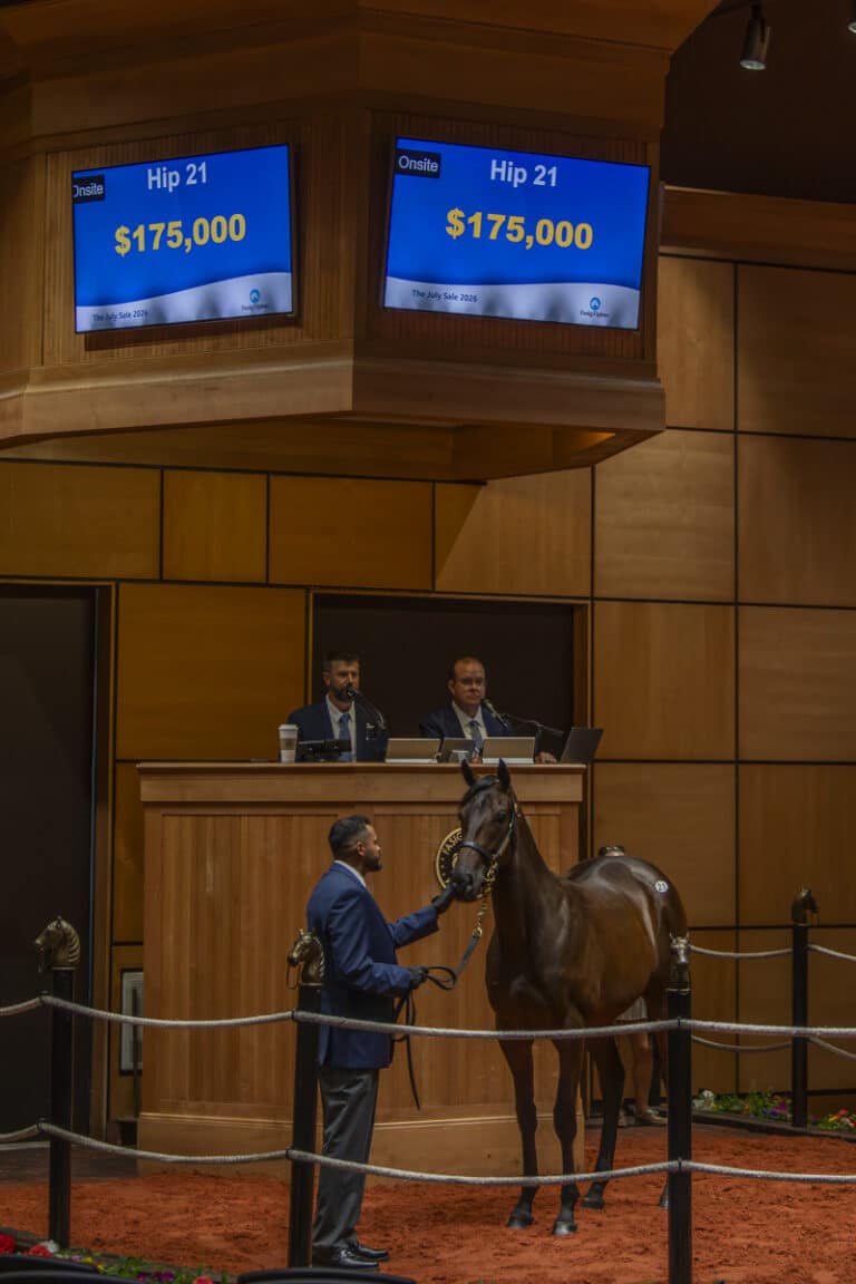 Filly by Arabian Lion o/o Charged Temp sells for $175,000 at the F-T July Sale | Kendall Wucker