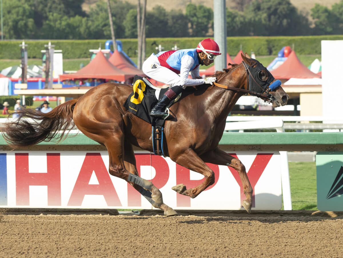 Arabian Lion | 2022 MdSpWt at Santa Anita | Benoit photo